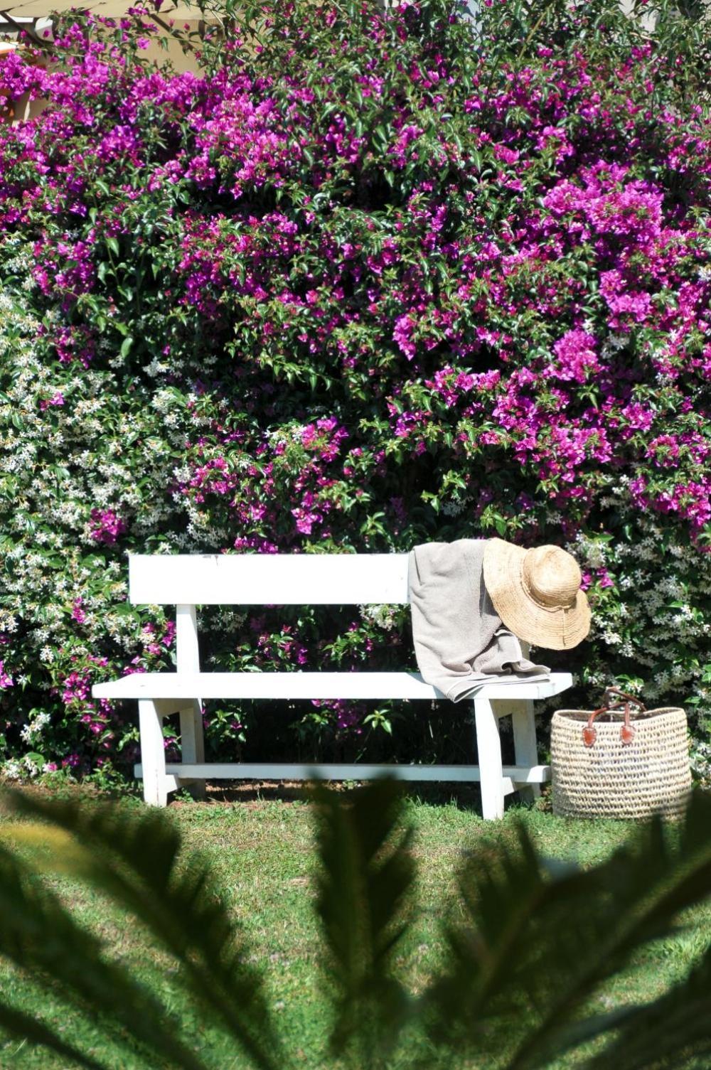 Casa Le Agavi Hotel Portoferraio Bagian luar foto